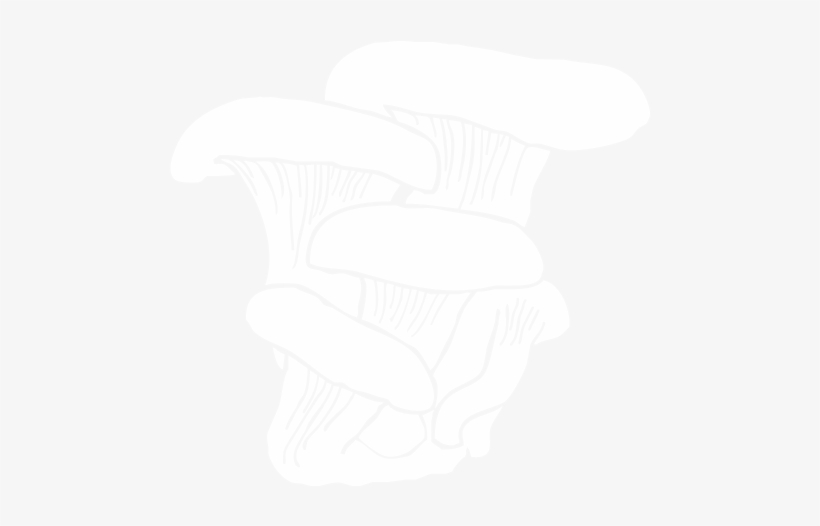 Fungi - Hand, transparent png #2339935