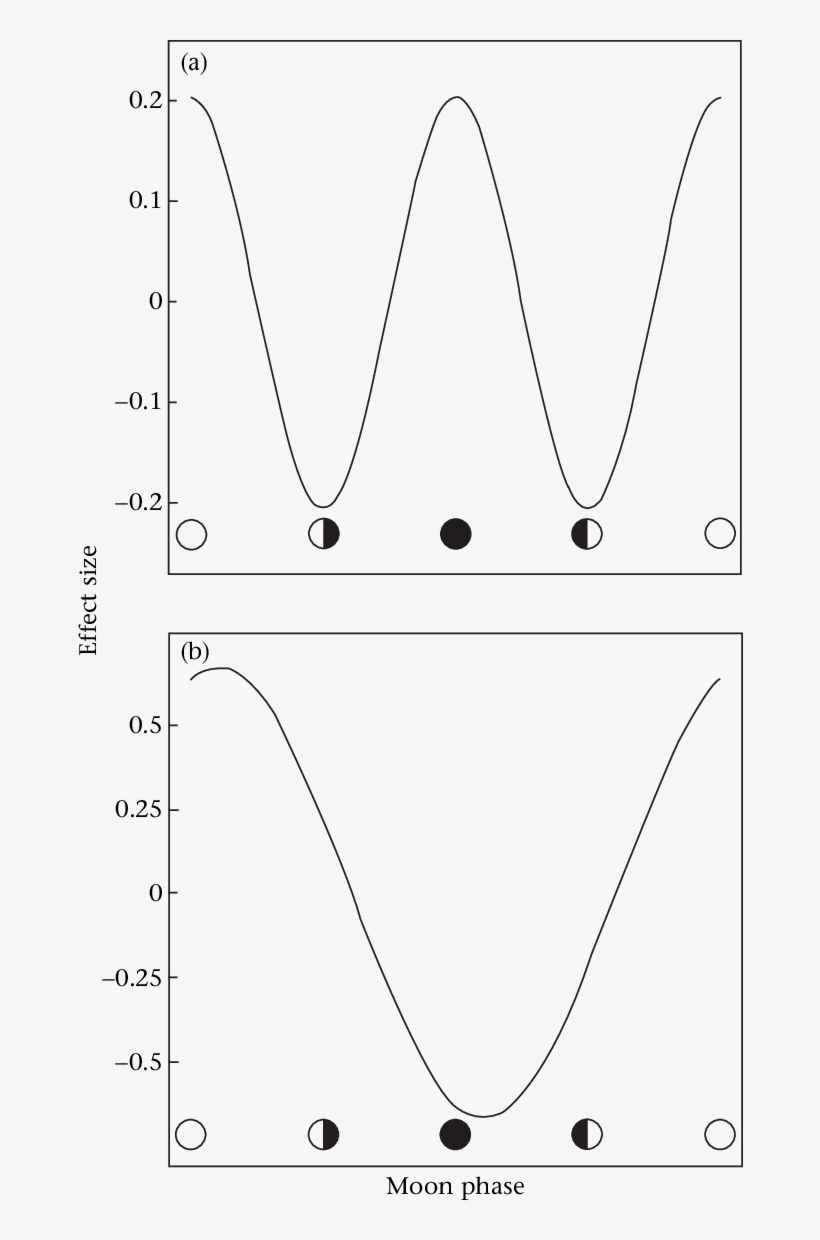 Time Budget Allocation At Various Moon Phases - Line Art, transparent png #2340208