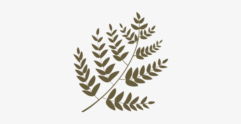 Leaf Twig Mango Plant Stem Fruit - Leaf, transparent png #2340523