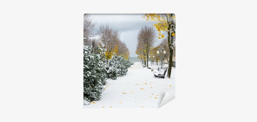 Snow Storm Wall Mural • Pixers® • We Live To Change - Storm, transparent png #2340684