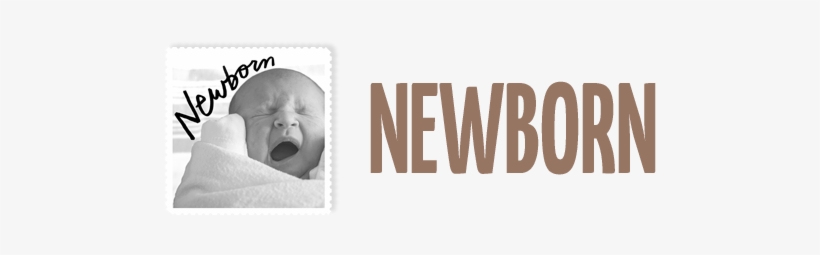 Newborn-header - Lille Menneskebarn [book], transparent png #2341275