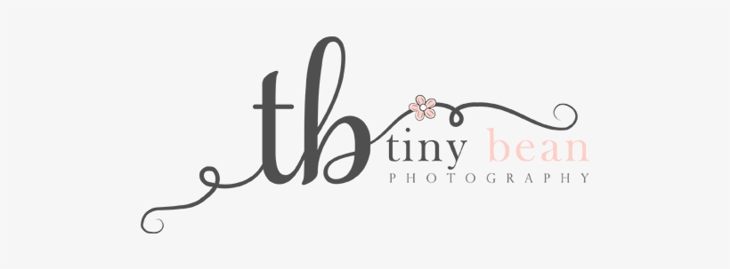 Newborn And Baby Photography - Pennsylvania, transparent png #2342221