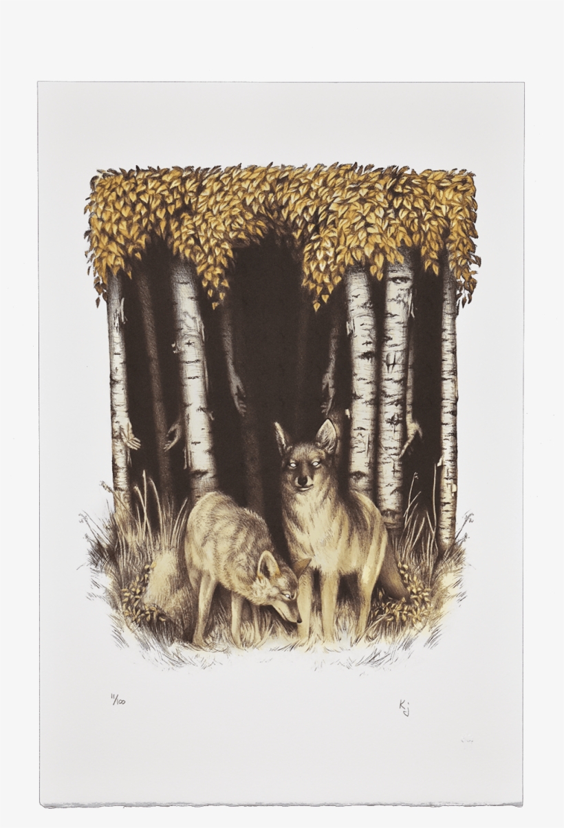 Coyote And Birch - Jackal, transparent png #2342741