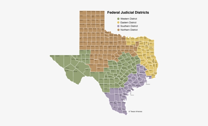Texas Senate Election Day, transparent png #2343122