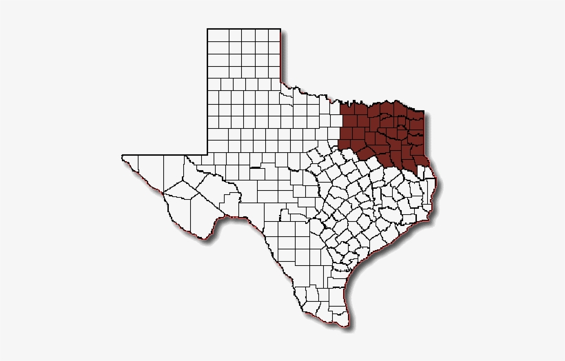 Texas-map - Texas Counties Svg, transparent png #2343233