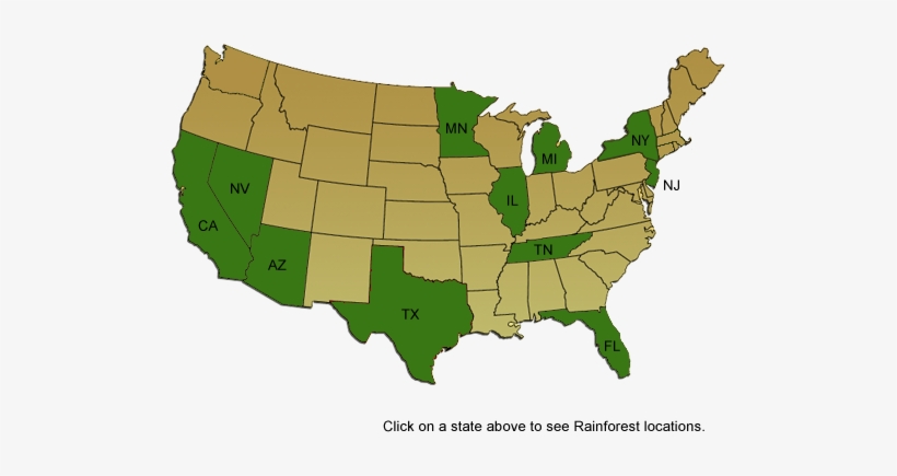 Graphic Us Map Highlighting States With Rainforest - Mesa On World Map, transparent png #2343608