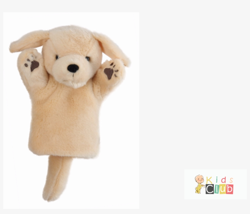 Puppet Company Carpets- Yellow Labrador Glove Puppet, transparent png #2344317