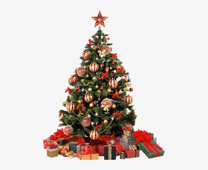 Christmas Tree - Christmas Tree Transparent Background Png Hd, transparent png #2346292