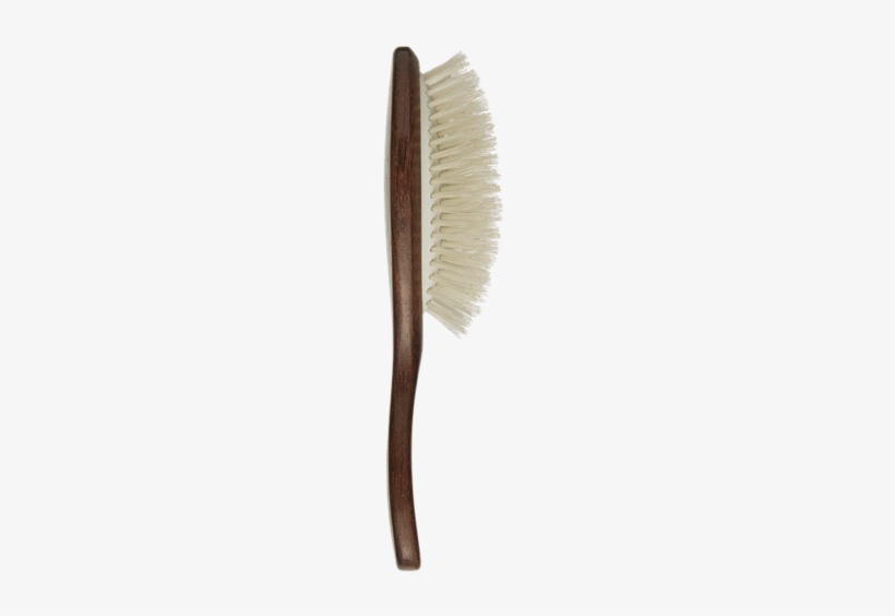 Travel Hairbrush - Christophe Robin Hair Brush, transparent png #2346402
