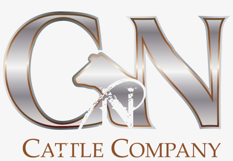 Boston Private Bank And Trust, transparent png #2347189