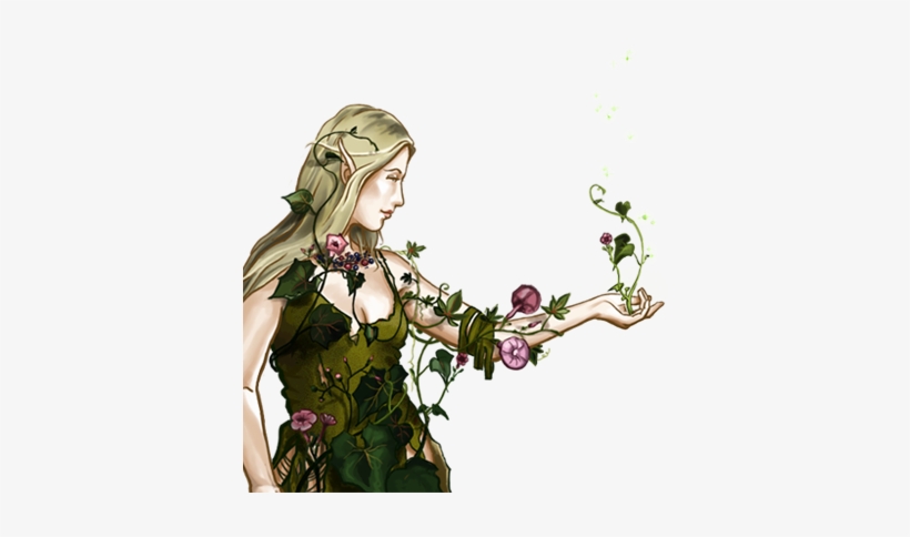 Druid Portrait - Elvish Druid, transparent png #2347268
