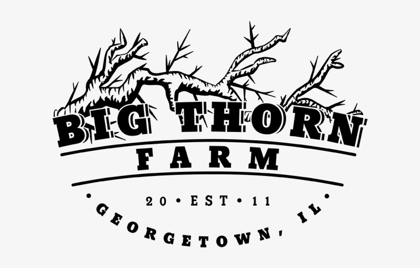 Big Thorn Farm Logo - Mks Czarni Jelcz Laskowice, transparent png #2348294