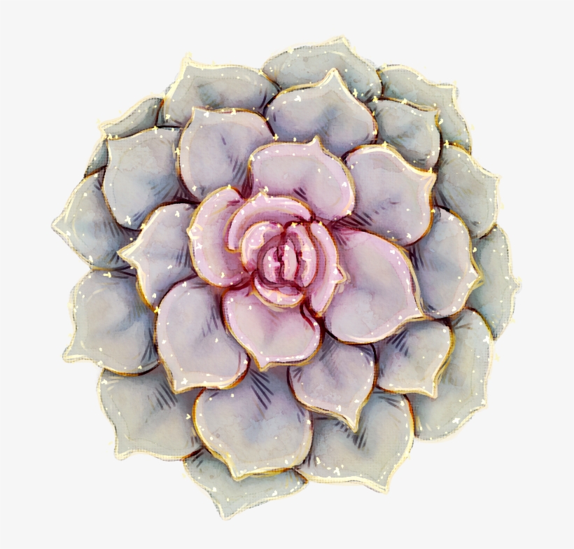 [g] Succ Glitter - Echeveria, transparent png #2348865