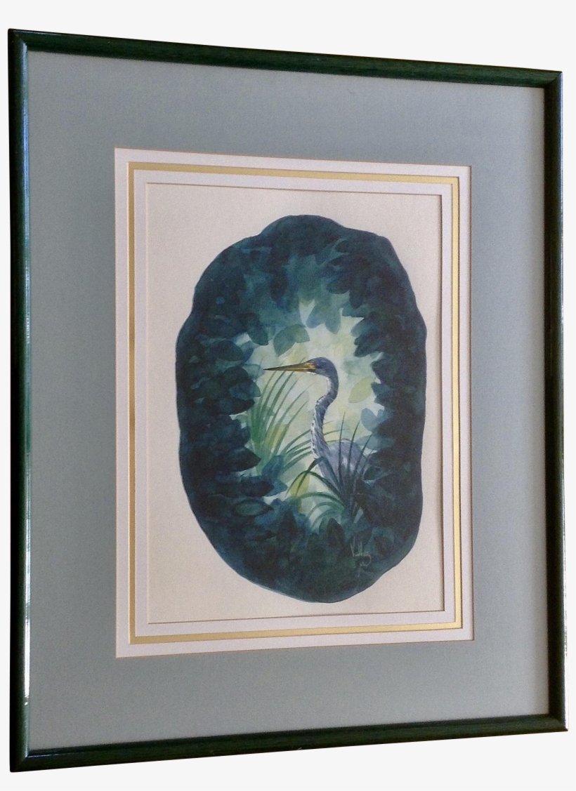 Jerry Vallez, Tri Colored Great Blue Heron Bird Watercolor - Jerry Vallez Studio, transparent png #2348975