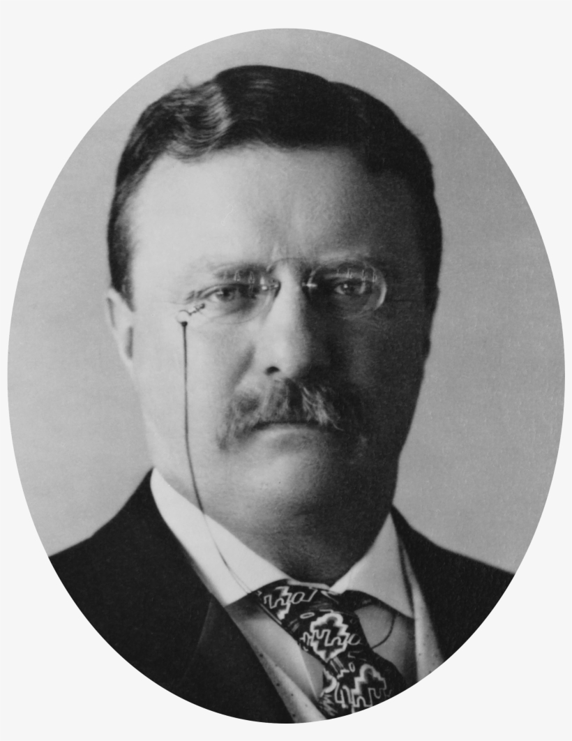 Theodore Roosevelt Oval - Bullet Can T Stop A Bull Moose, transparent png #2348998