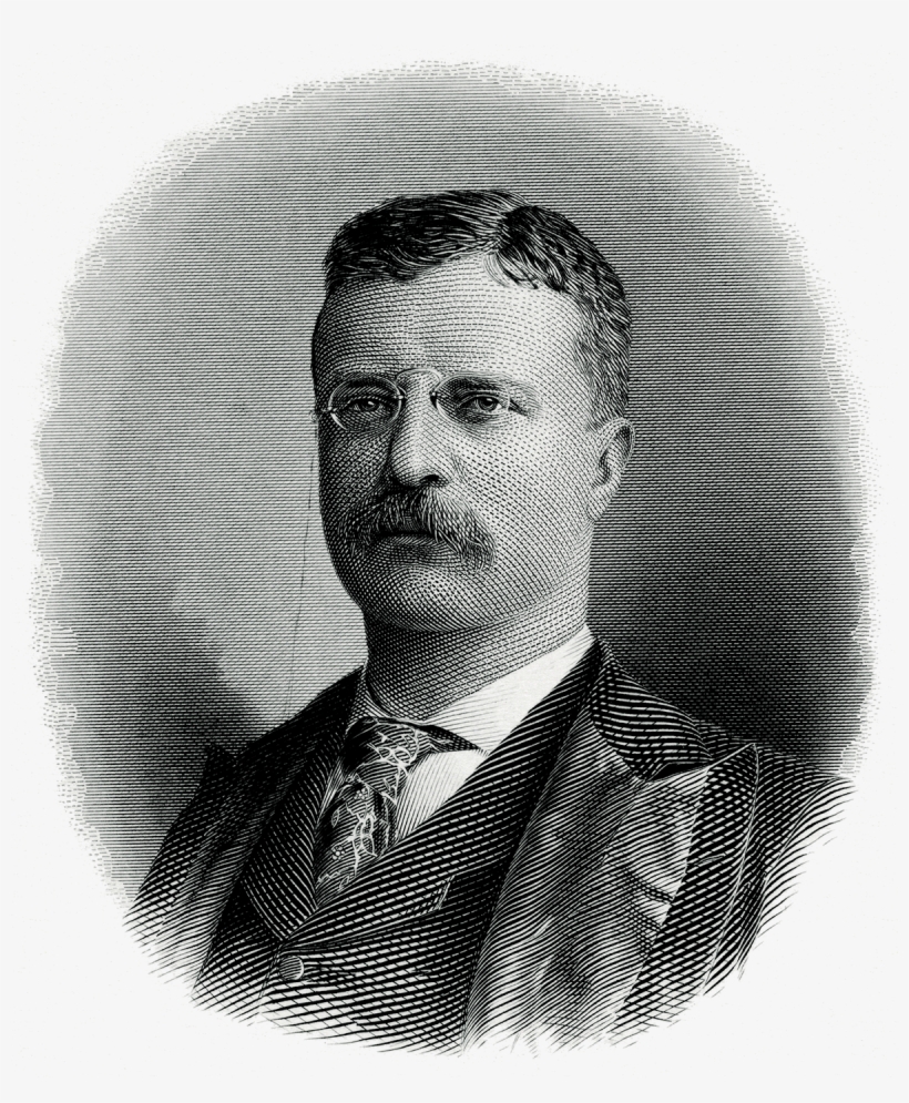 President Theodore Roosevelt - Theodore Roosevelt New York Governor, transparent png #2349224