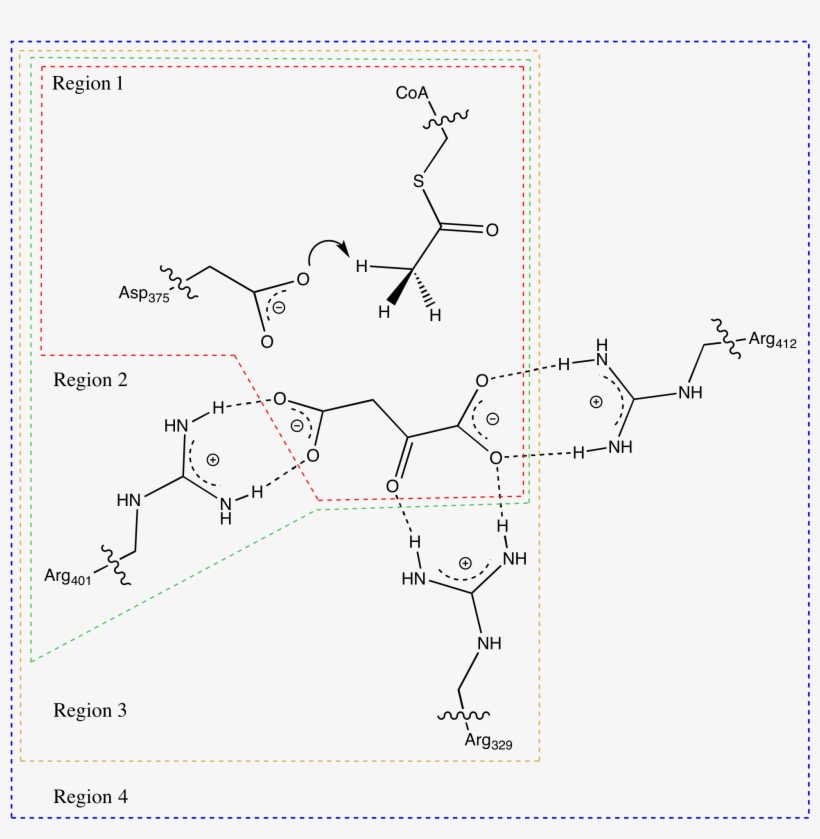 Url - Http - //data - Bris - Ac - Images/ Structure - Diagram, transparent png #2349242