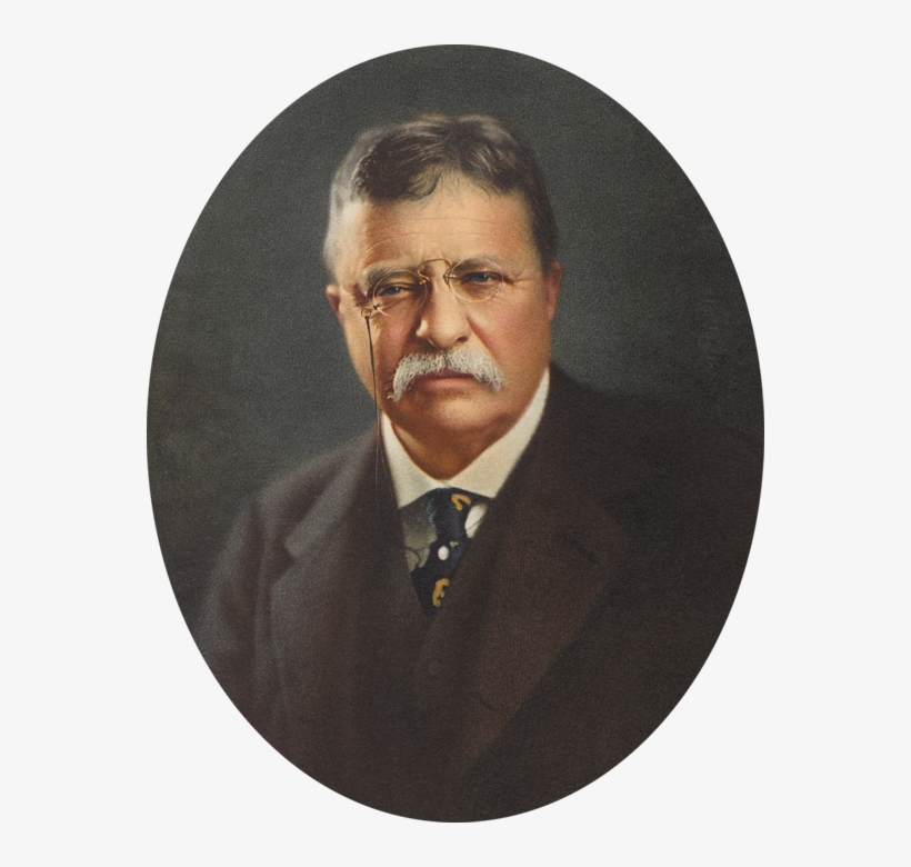 Bleed Area May Not Be Visible - Theodore Roosevelt, transparent png #2349246