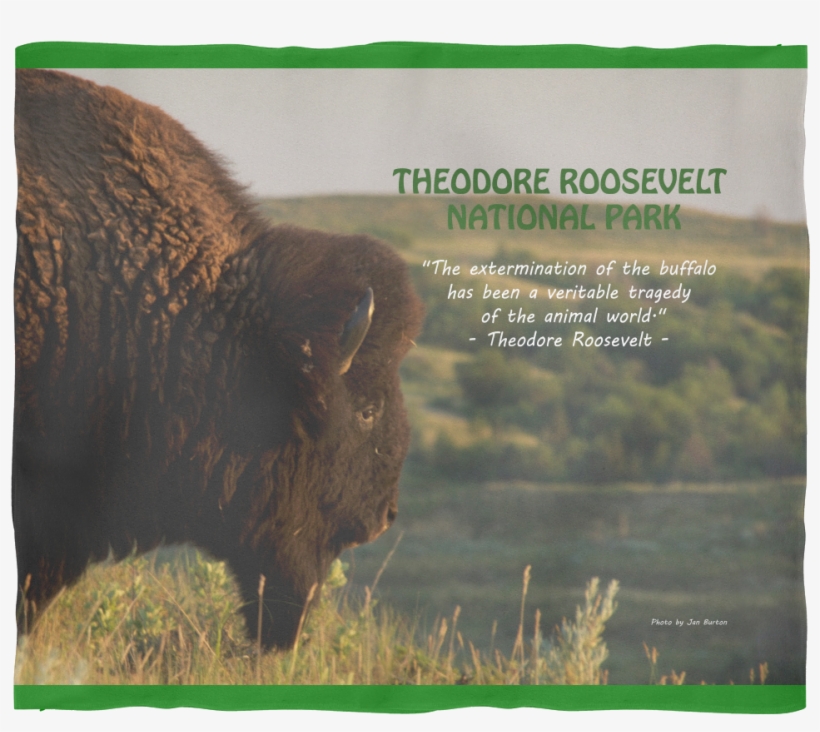 Bison Fleece Blanket - Grass, transparent png #2349455