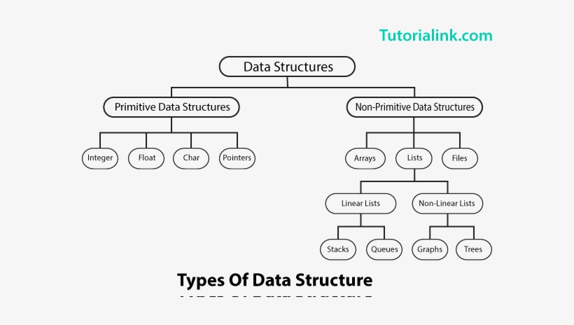 Primitive And Non-primitive Data Structures - Primitive And Non Primitive Data Type, transparent png #2349733