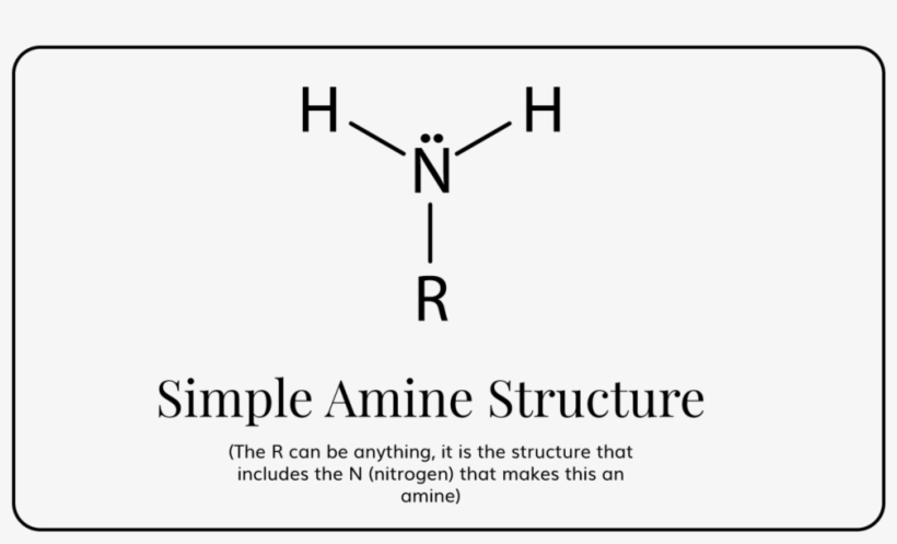 Simple Amine Structure - Free Transparent PNG Download - PNGkey