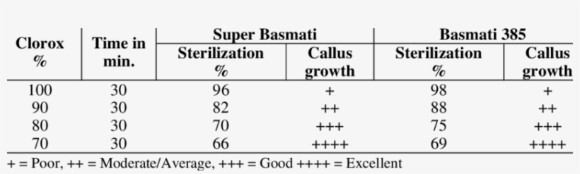 Effect Of Clorox On Sterilization Of Mature Seeds For - Stop Human Trafficking, transparent png #2350006