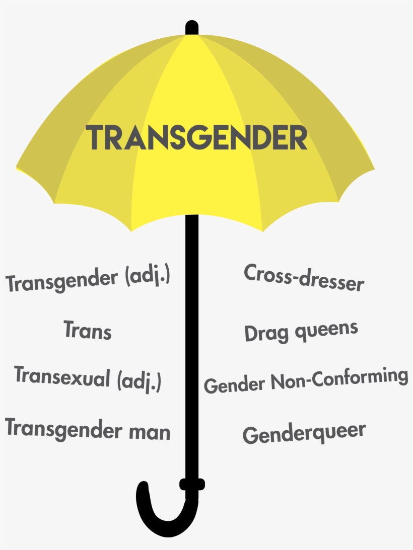 Graphic By Jacqueline Lin - Transgender Representation In The Media, transparent png #2350747