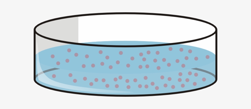 Small - Petri Dish Clip Art, transparent png #2350834