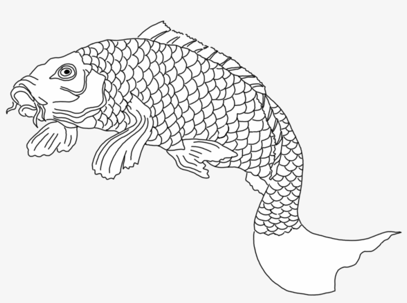 Koi Fish Sketch Black White - Drawing, transparent png #2350857