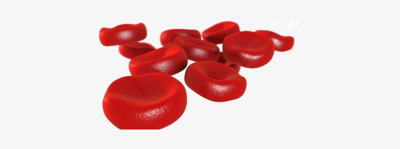 Red Blood Cell Png, transparent png #2350859