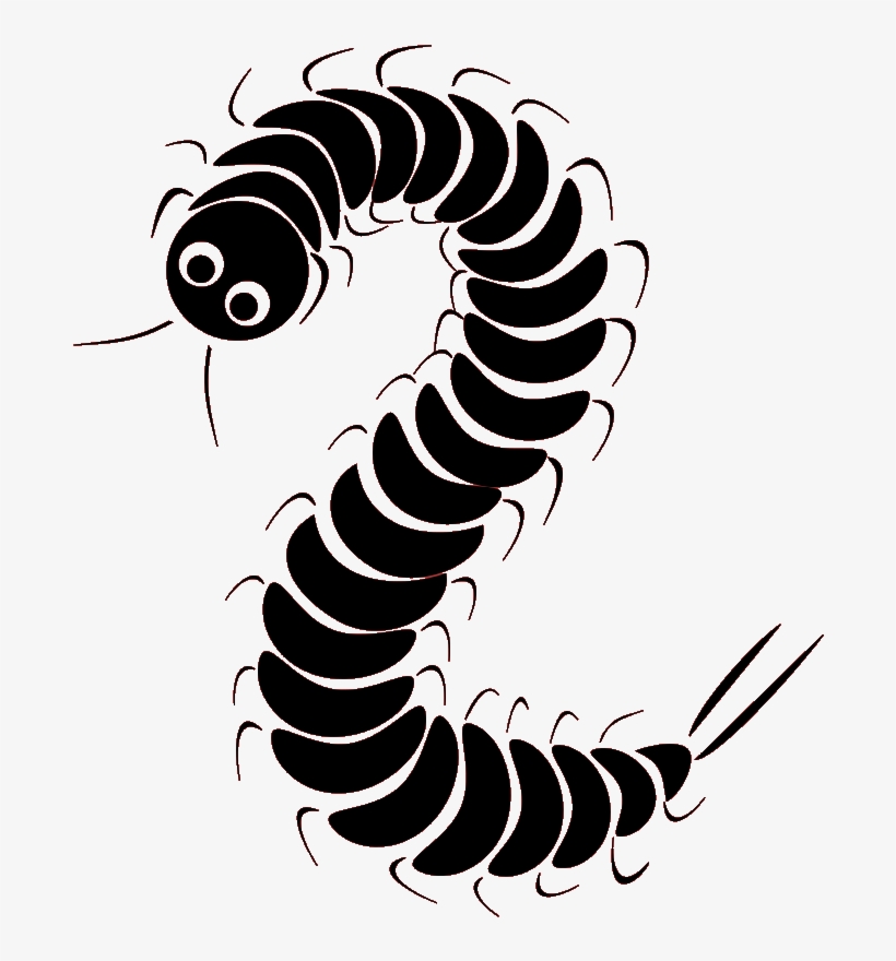 Centipede - School, transparent png #2351023