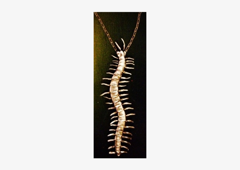 Centipede Necklace, transparent png #2351147