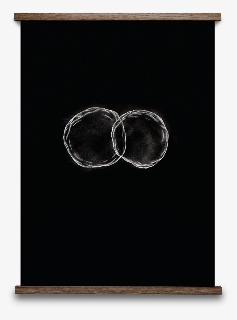 Paper Collective Cells - Black Hrefna 50 X 70 Cm, transparent png #2351349