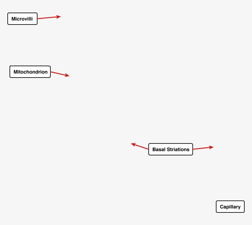 Diagram, transparent png #2351411