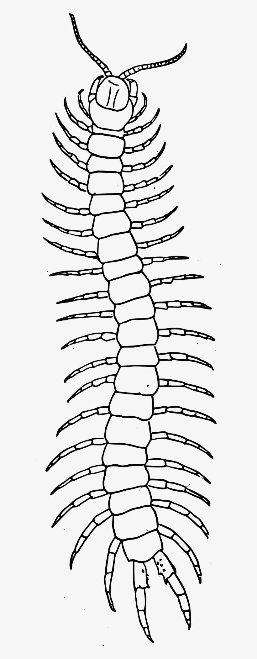 Open - Tattoo, transparent png #2351602