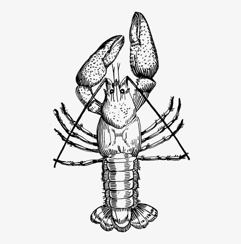 Crayfish Party Drawing Louisiana Crawfish Seafood Boil - Drawing Of Cray Fish, transparent png #2351796