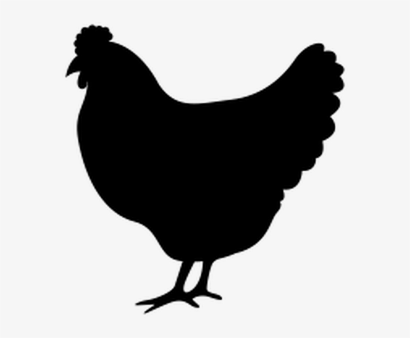 Chicken Icon, transparent png #2352109