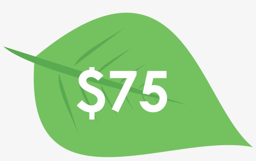 Donation $75 - Sign, transparent png #2352207