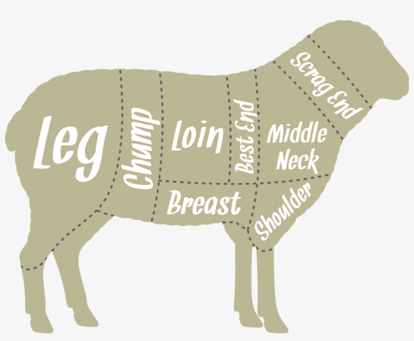 Our Butchers Hang The Lambs For 7 Days Which Releases - Lamb On Spit Drawing, transparent png #2352858