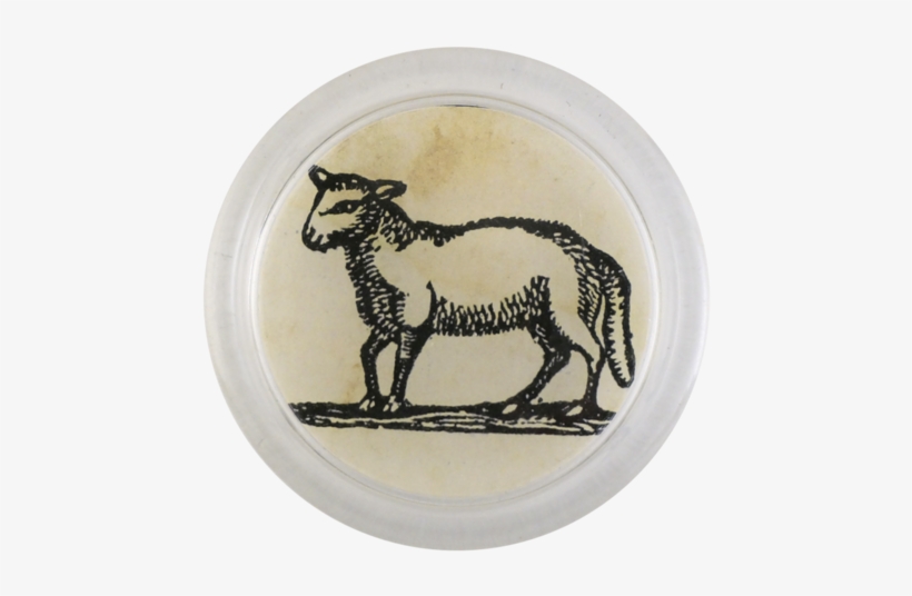 Iconic - Lamb - Lamb And Mutton, transparent png #2353324