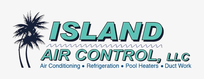 At Sun103 - Digiflare Graphics 6 Ft X 49" Wide Palm Trees Wall, transparent png #2355813