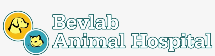 Bevlab Animal Hospital, transparent png #2356544