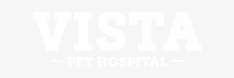 Ivet360 Template - Stay Woke, transparent png #2356606