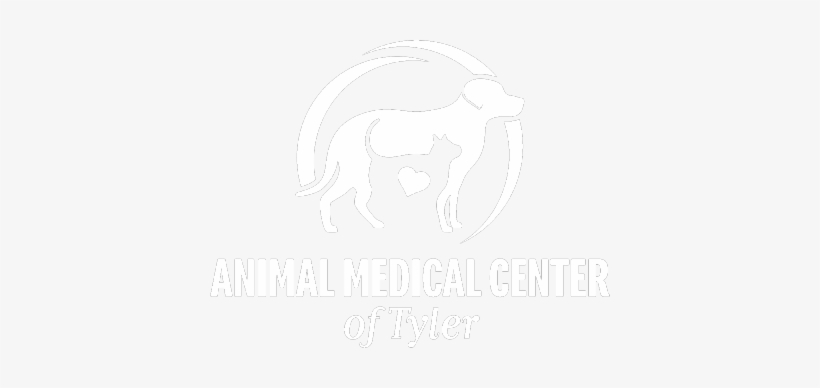 Payment Options - Logo, transparent png #2356855