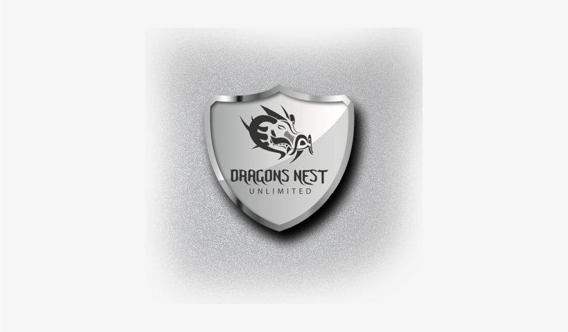 Dragon Nest Logo Png, transparent png #2357400