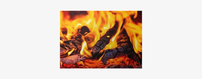 Photography, transparent png #2357934