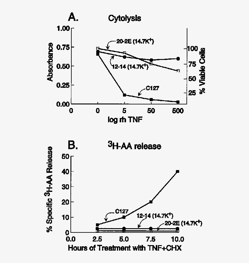 The E3 - Diagram, transparent png #2359380