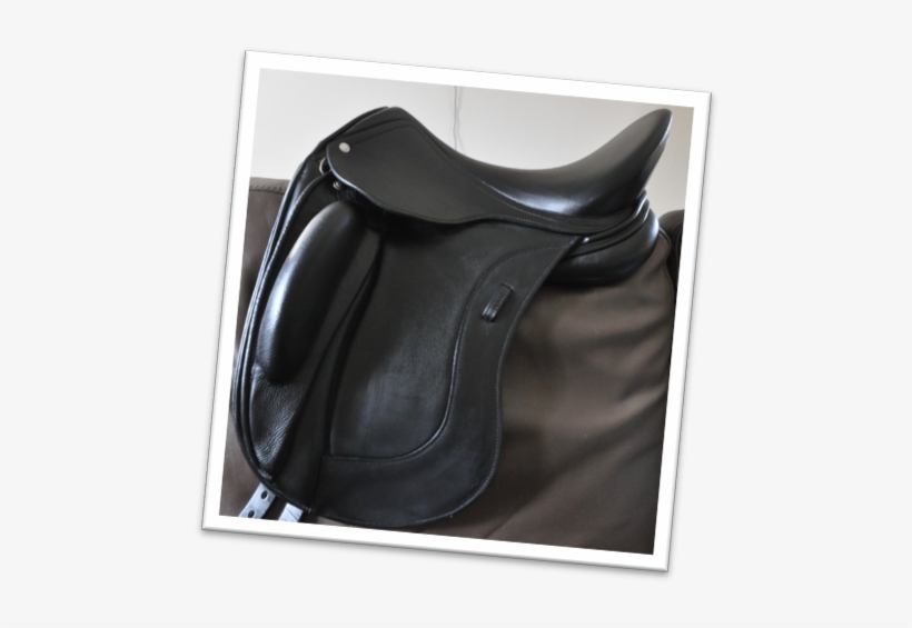 Saddle - Schleese Saddlery, transparent png #2359856