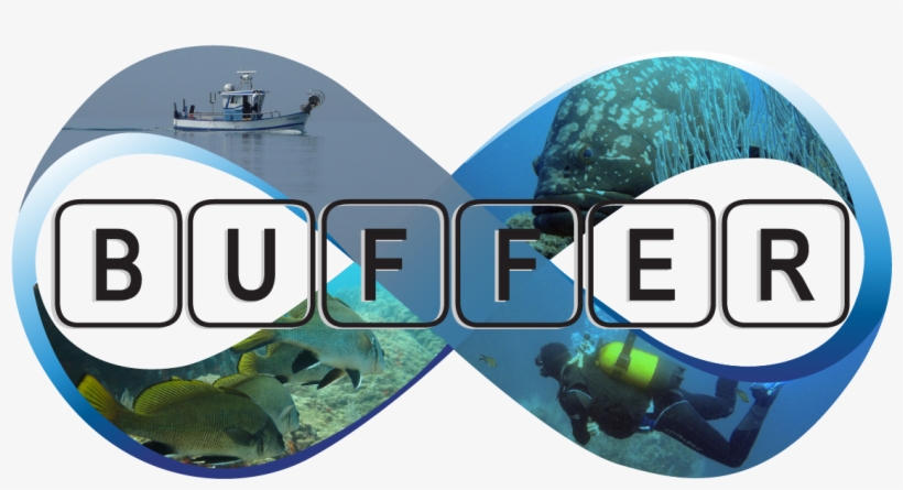Logo Buffer 300dpi - World Wide Web, transparent png #2359873