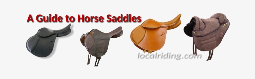 Horse Saddle Guide - Endurance Saddle, transparent png #2360724
